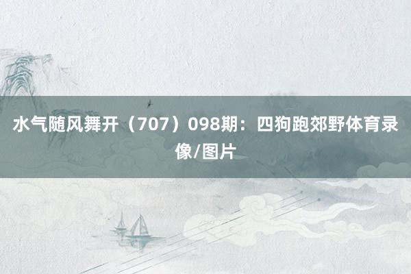 水气随风舞开（707）　　098期：四狗跑郊野体育录像/图片